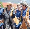 Equinos de Rastro